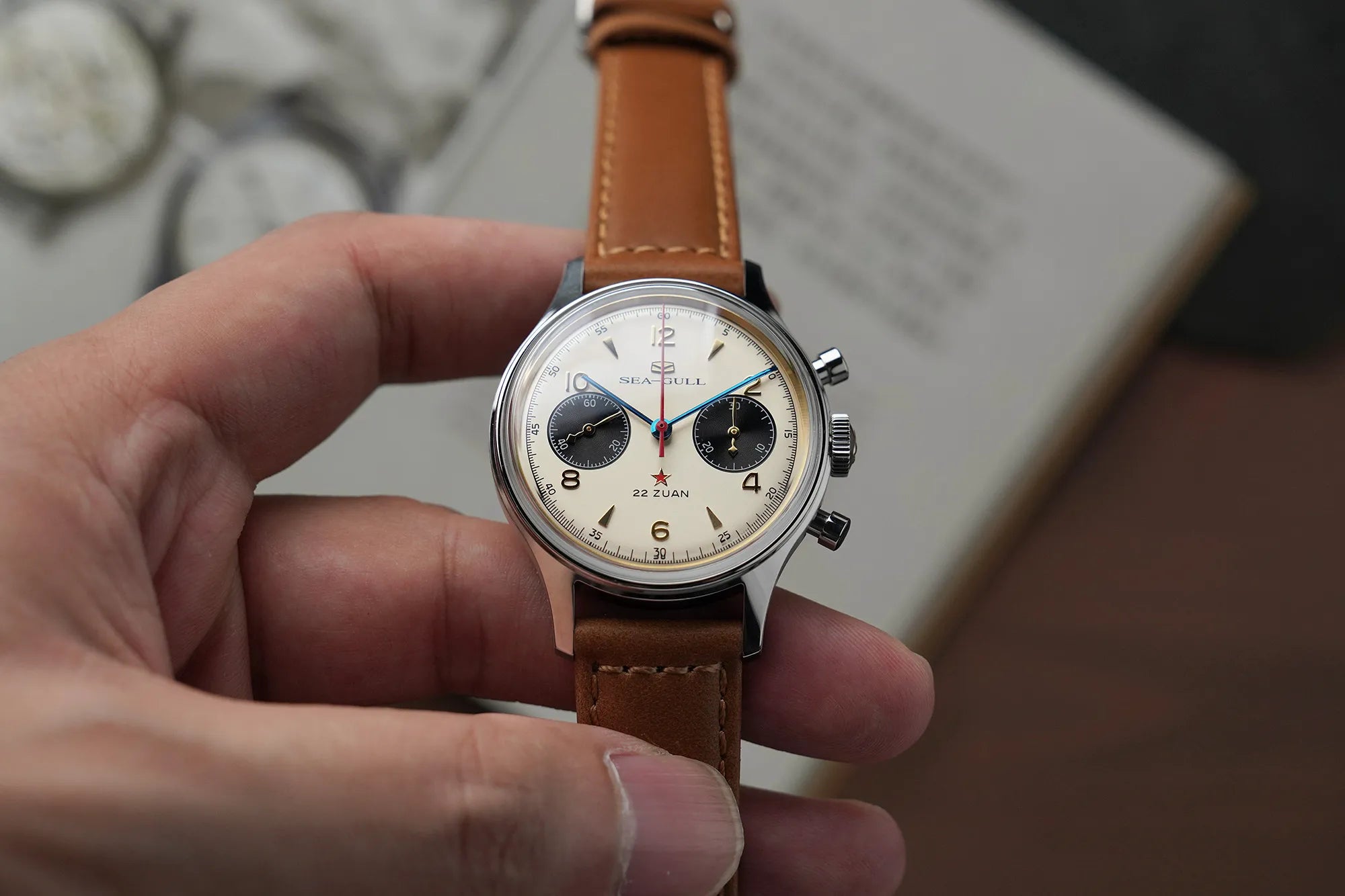 Seagull 1963 熊貓面:避免的常見錯誤 - Sea-Gull 官方商店