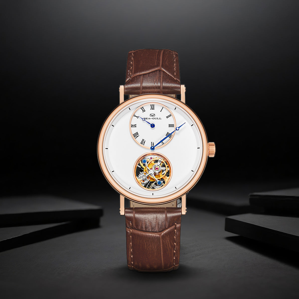 Tourbillon excentrique | Cadran émaillé | Disposition régulateur | 39mm