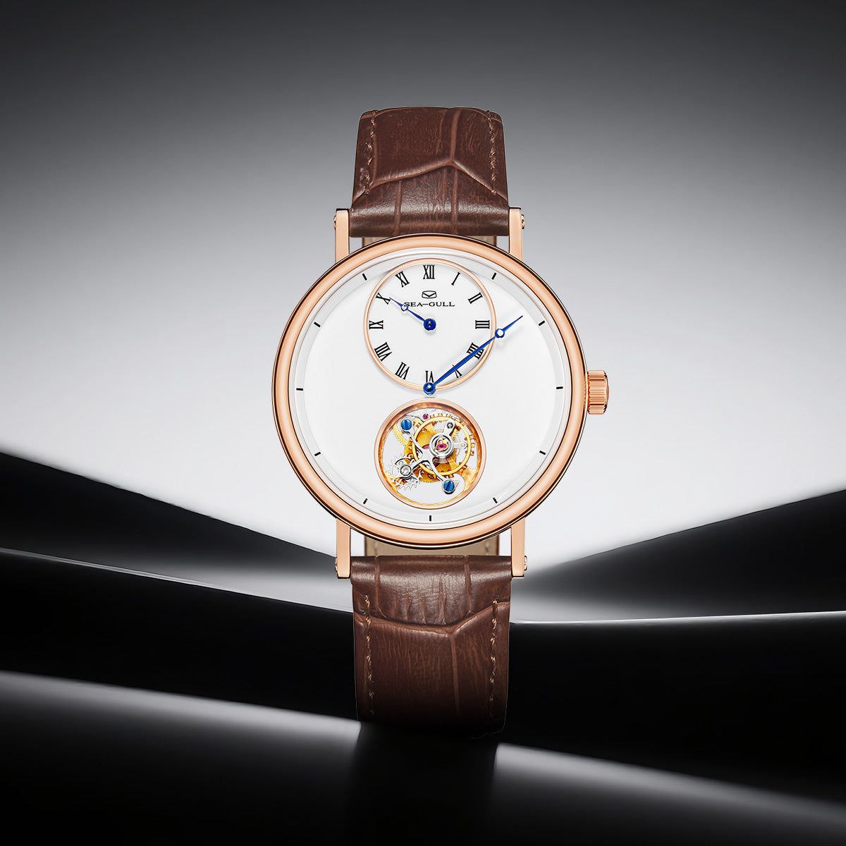 Tourbillon excentrique | Cadran émaillé | Disposition régulateur | 39mm