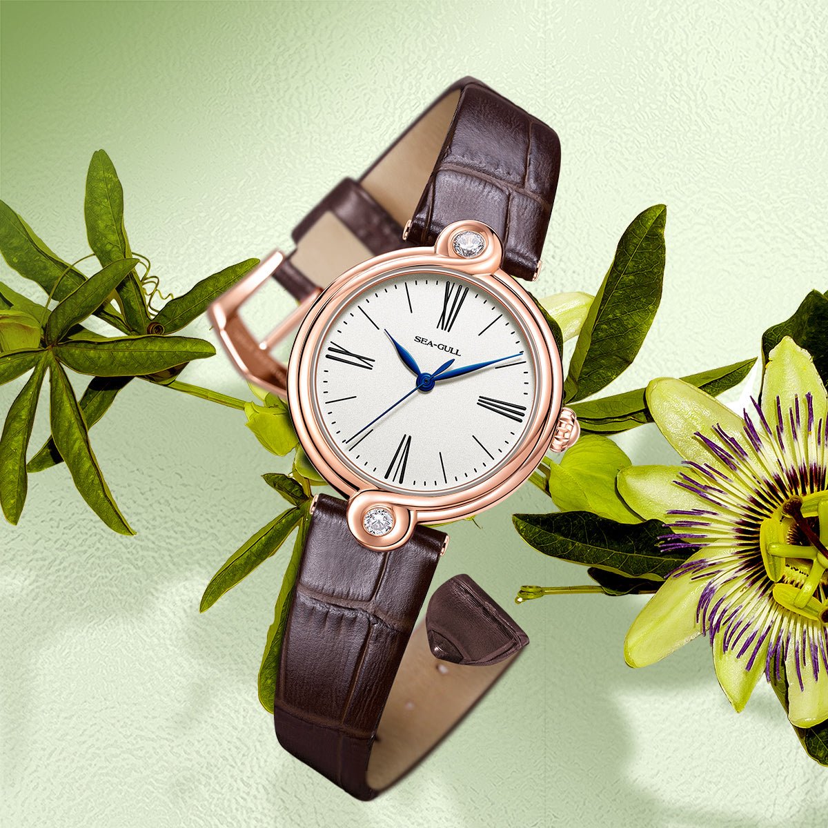 Möbius Strip | Automatic Dress Watch | Women's Watch | 33mm - Sea-Gull Watch Official Store