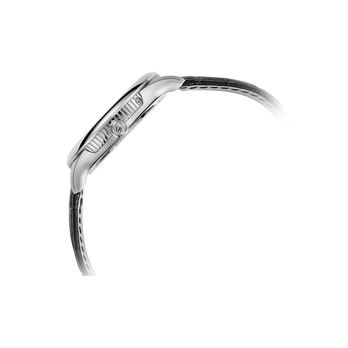 Tourbillon Excentrique | Phase de Lune | Calendrier | Indicateur d'Énergie | 41mm
