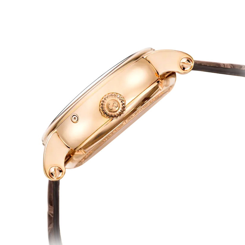 Tourbillon | Moon Phase | Perpetual Calendar | Minute Repeater | 46mm Sea-Gull