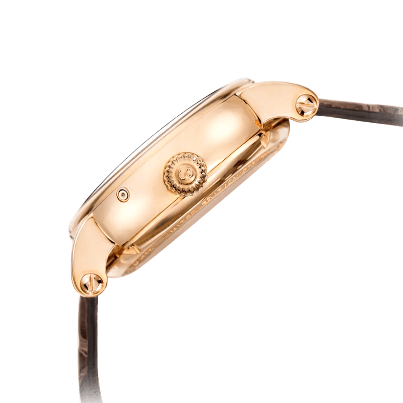 トゥールビヨン | ムーンフェイズ | パーペチュアルカレンダー | ミニッツリピーター | 46mm Sea-Gull