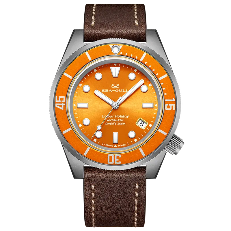 seagullwatchofficial.com