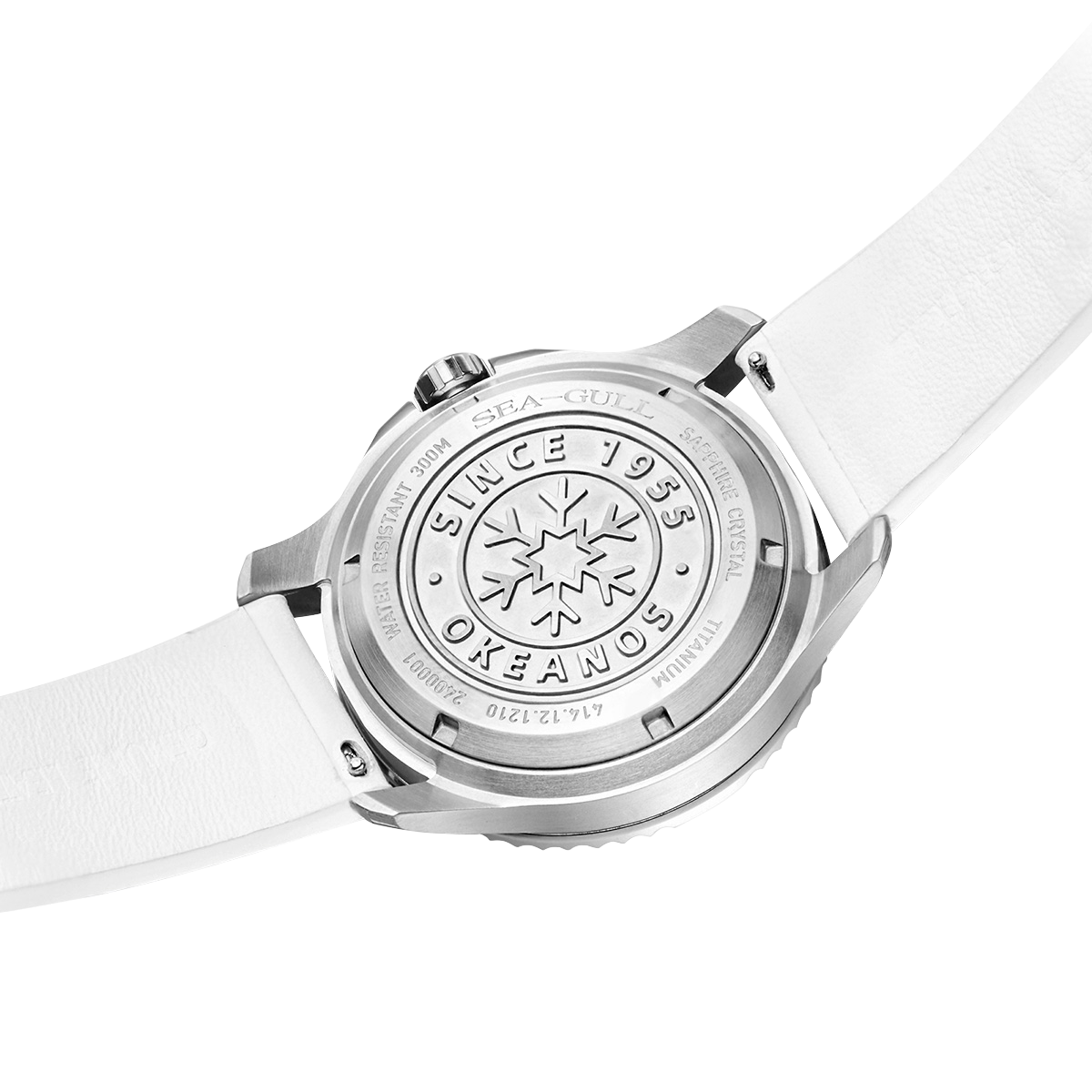 Serie Oceánica Pro | Ala de Hielo | Titanio | 300m Impermeable | 43mm