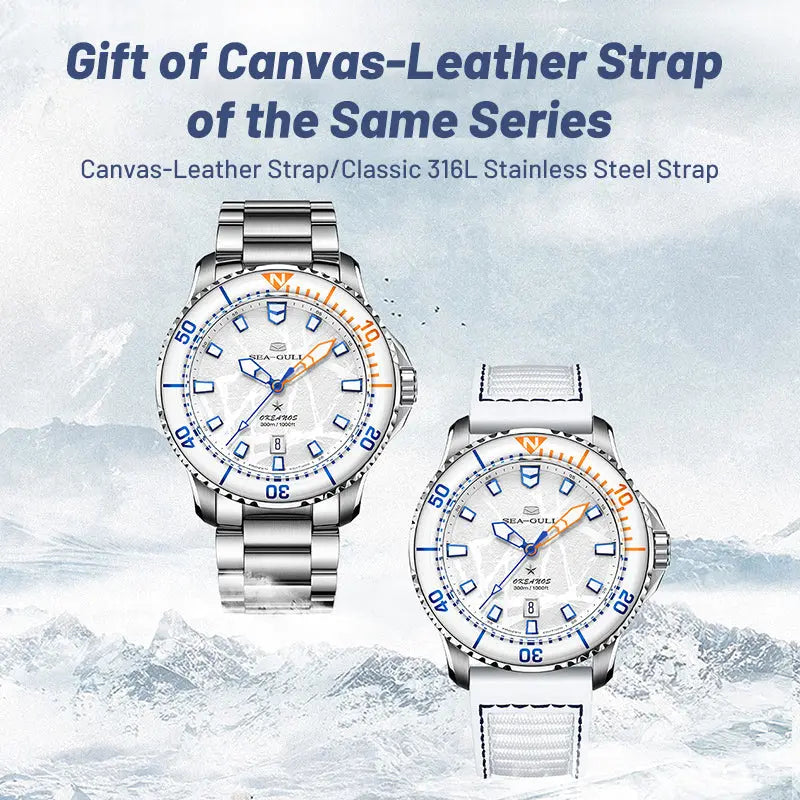 Ocean Series Pro | Ice Wing | Titanium | 300m Waterproof | 43mm Sea-Gull