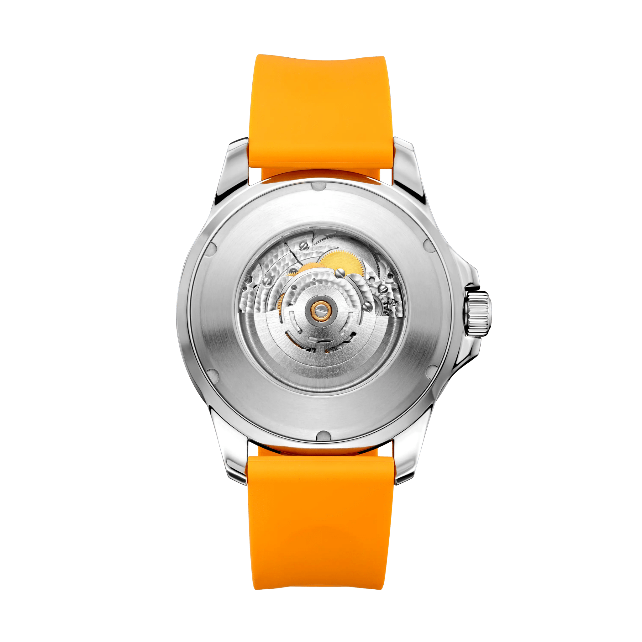 Ocean Series | 100m Waterproof | Colorful Markers | 44mm - Sea-Gull Watch Official Store