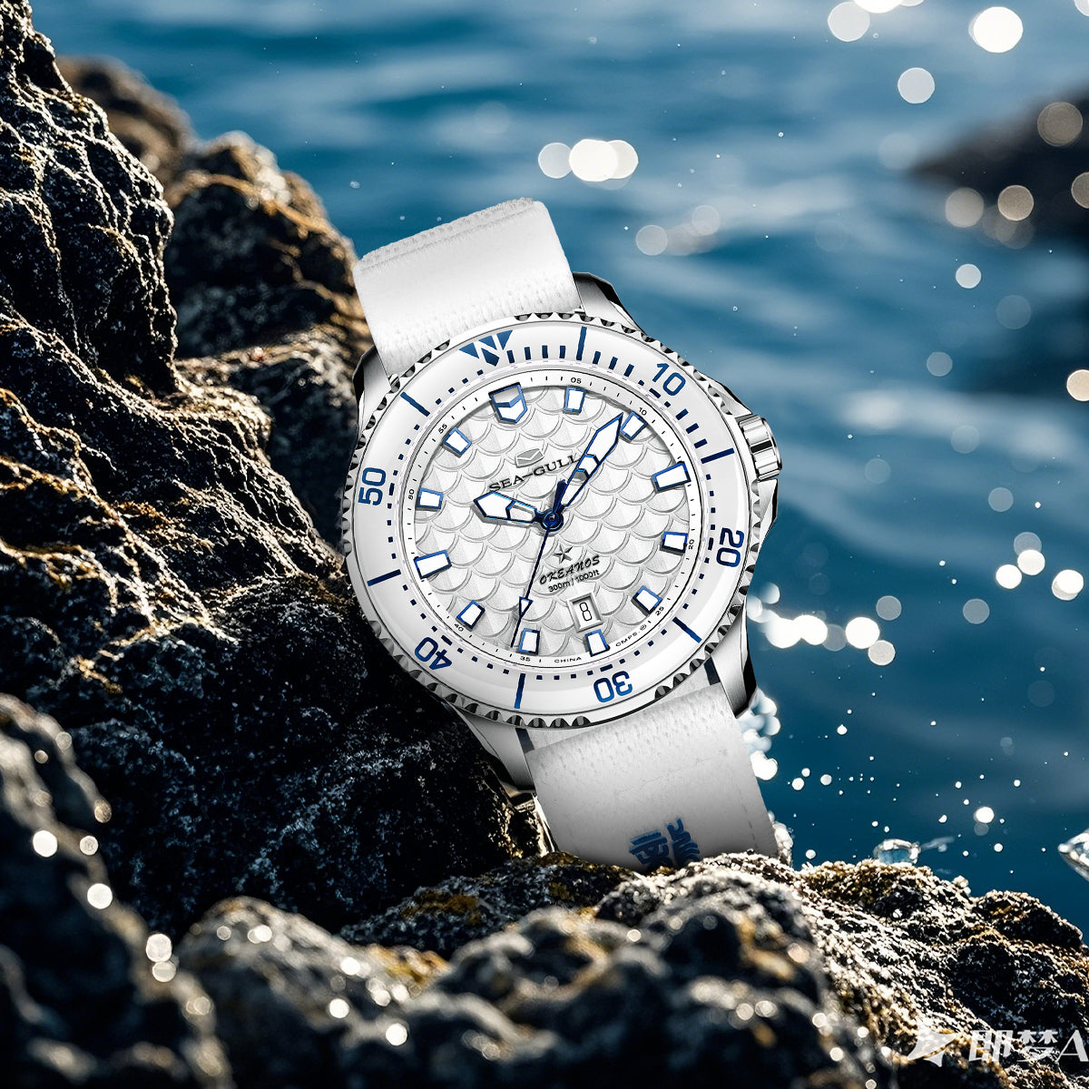 Ozean-Serie | Drachenkönige der Vier Meere | Tauchen | Doppelte Riemen | 44mm