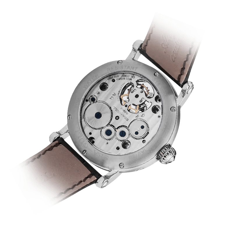 Eccentric Tourbillon | Heritage Series | Moon Phase | Calendar | Energy Indicator | 39mm - Sea-Gull Watch Official Store