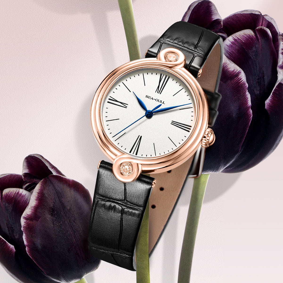 Möbius Strip | Automatic Dress Watch | Women's Watch | 33mm