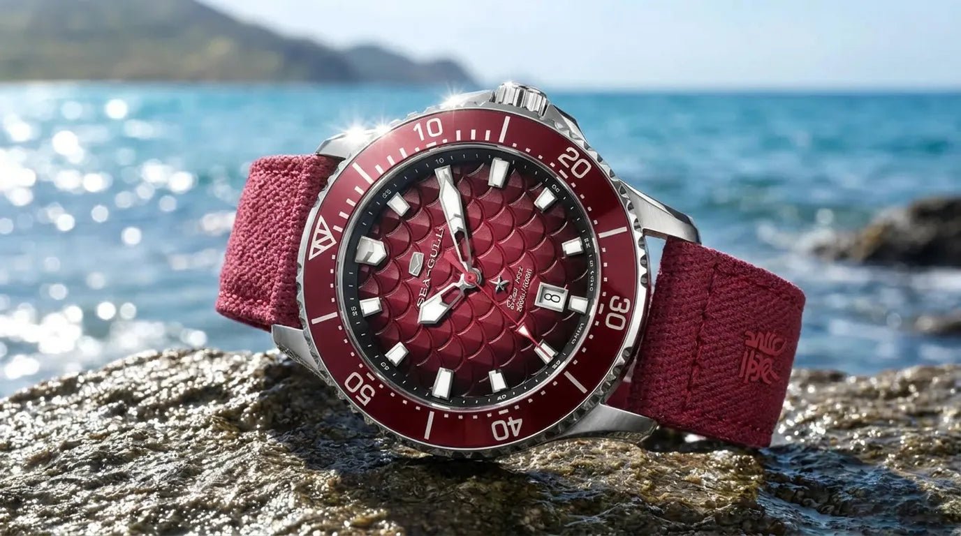 Everyday Dive Watch Guide for Summer 2026 - Sea-Gull Watch Official Store