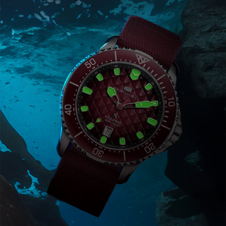 811.52.1216_750_12 - Sea-Gull Watch Official Store