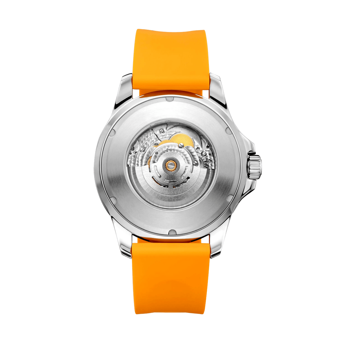 Ocean Series | 100m Waterproof | Colorful Markers | 44mm - Sea-Gull Watch Official Store