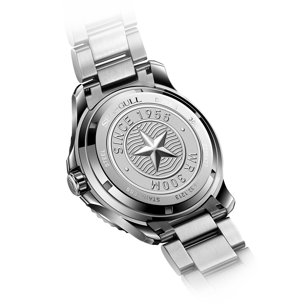 Ocean Series PRO | 300M Impermeabile | Immersione | Luminoso | Calendario | 41mm