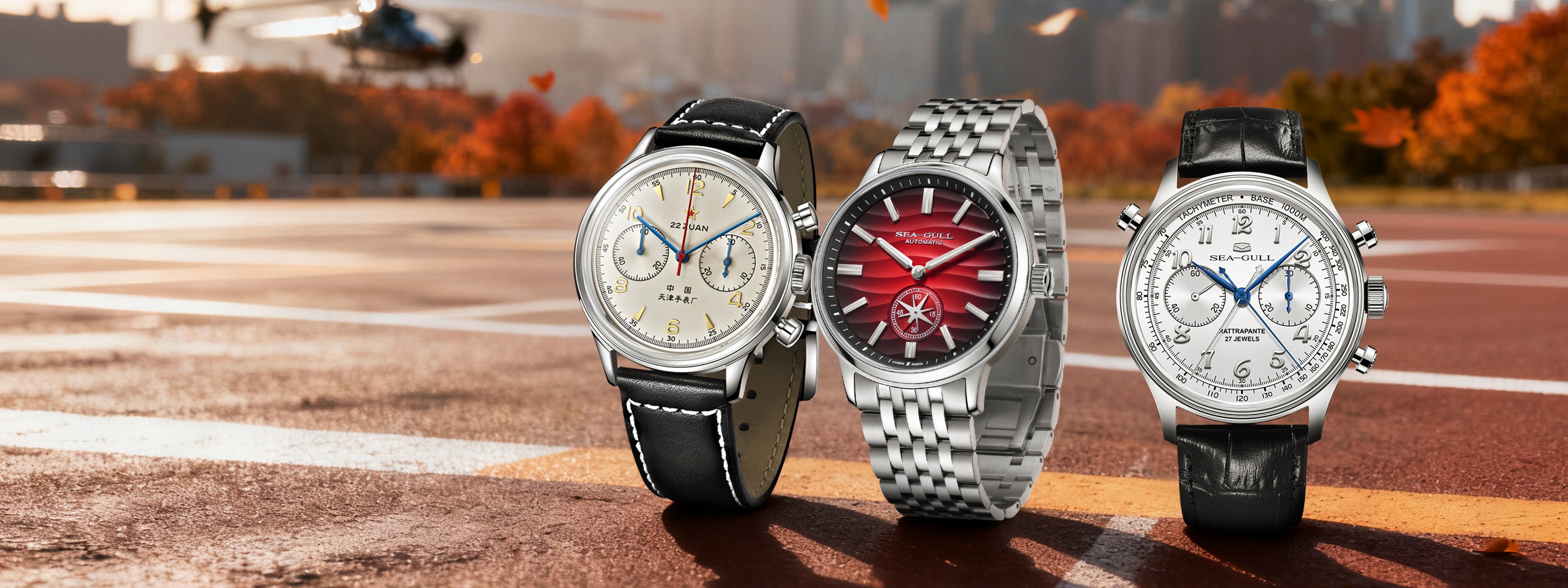 seagull-watches-displayed-autumn foliage-in-the-background