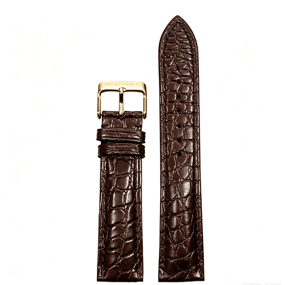 Crocodile Leather Strap | Silver Buckle | 20mm/21mm/22mm - Sea-Gull Watch Official Store